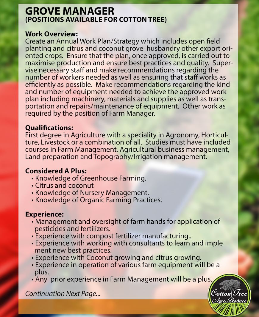 Web Jobs Ad 2022_Grove Manager 01